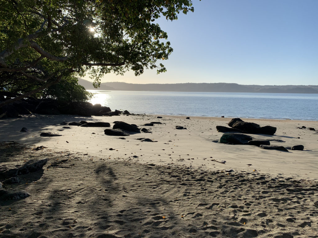 a beach with rocks and trees