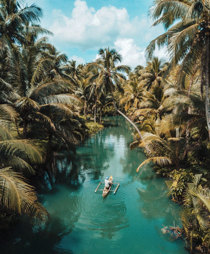 a person in a boat in a river surrounded by palm trees