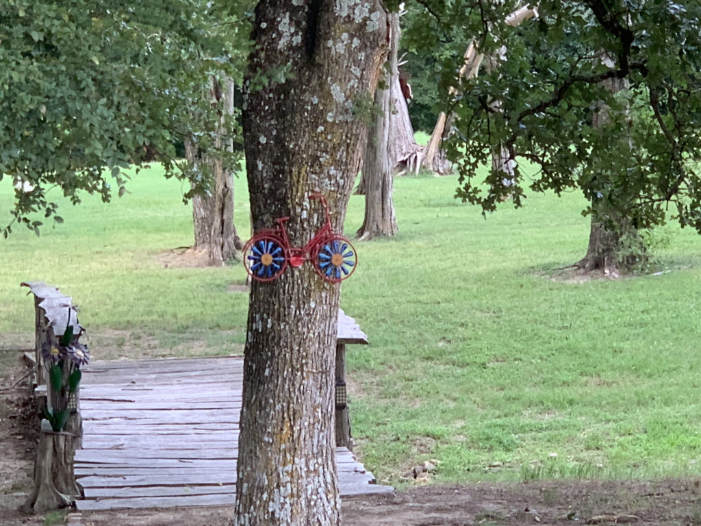 a tree with a toy bicycle attached to it