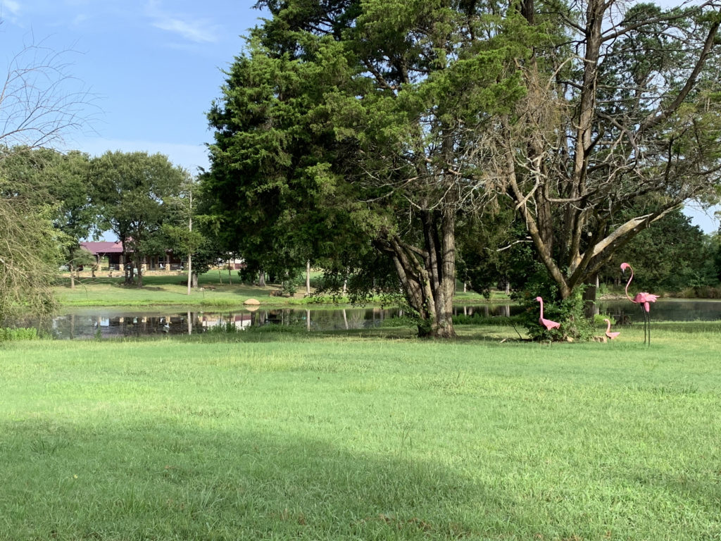 a grass field with trees and a pond