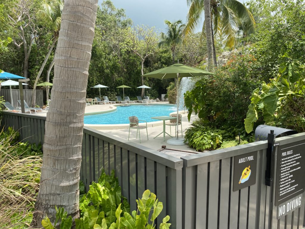 a pool with umbrellas and chairs in a backyard