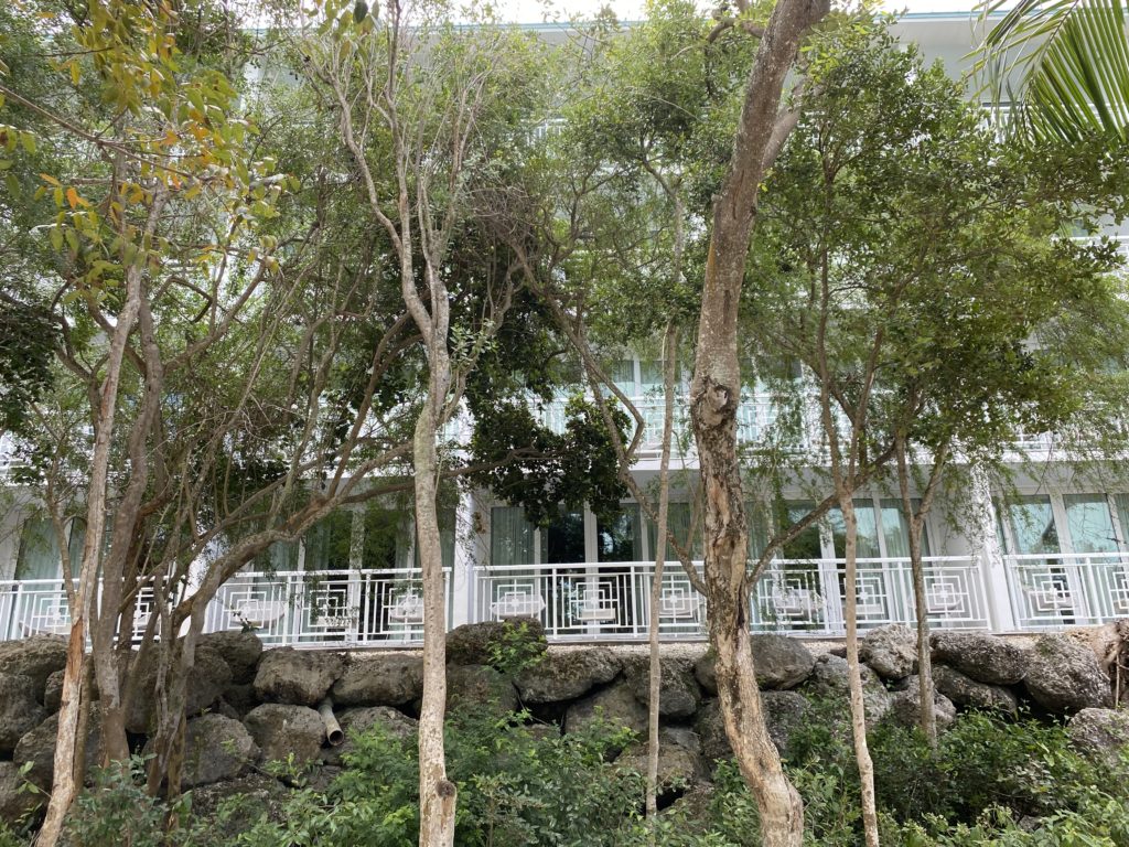 a building with trees and rocks