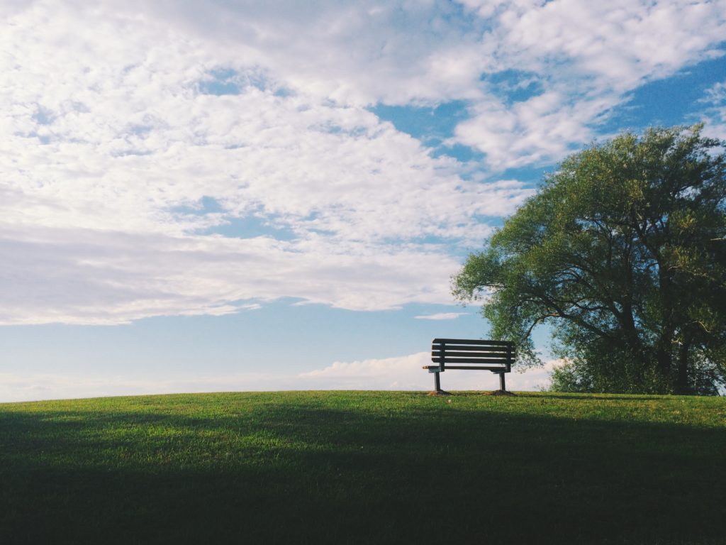 a bench in a grassy field