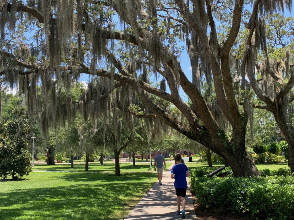 people walking on a sidewalk under a tree