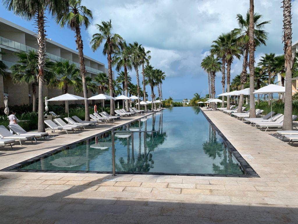 a pool with umbrellas and palm trees