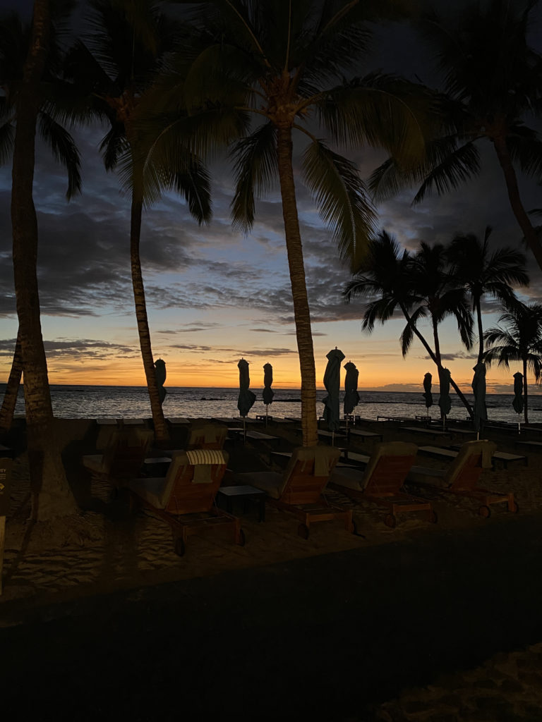 a beach with palm trees and umbrellas