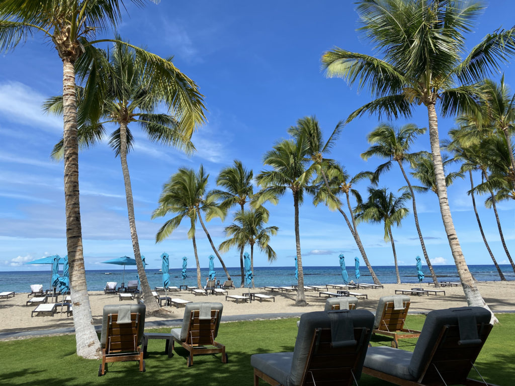 a beach with palm trees and chairs