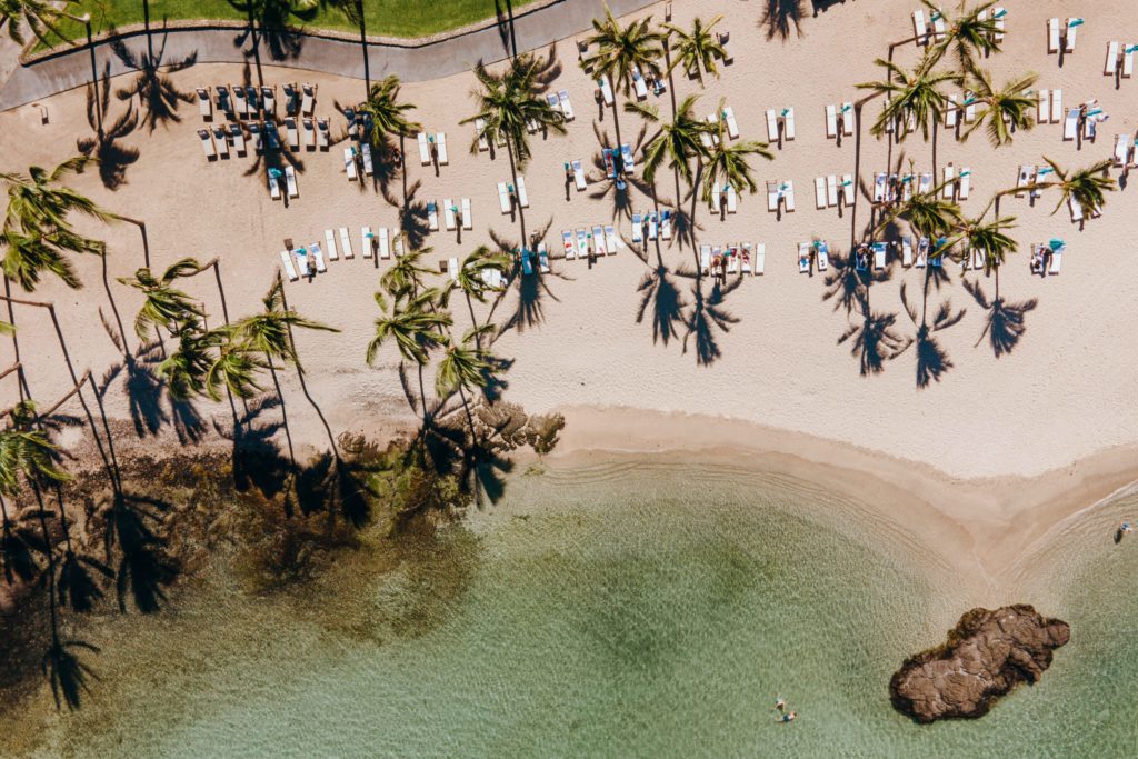a beach with palm trees and a body of water