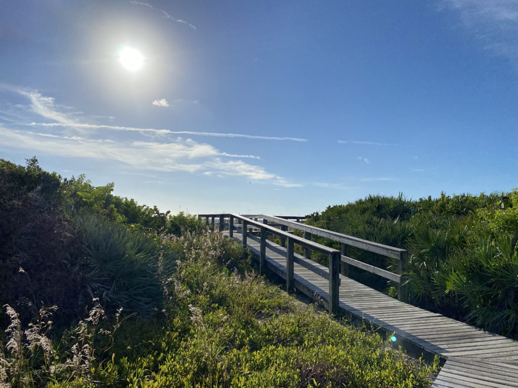 a wooden walkway over bushes and bushes