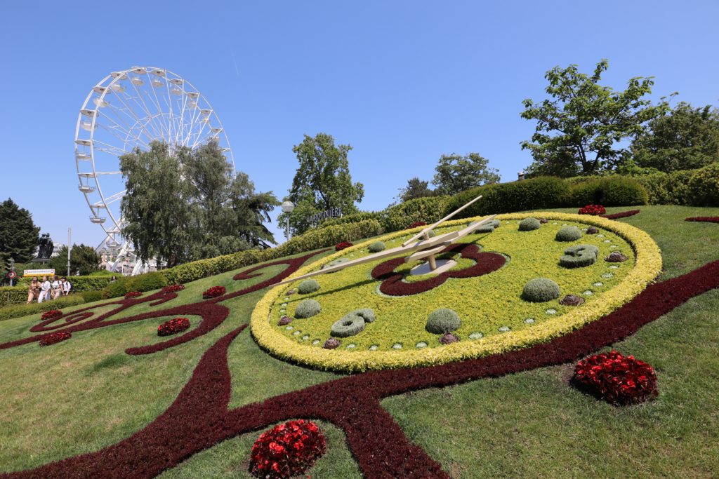 a clock made of flowers and plants