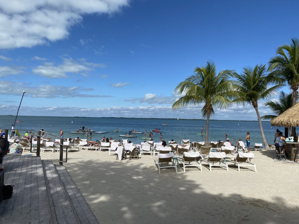 a beach with chairs and palm trees