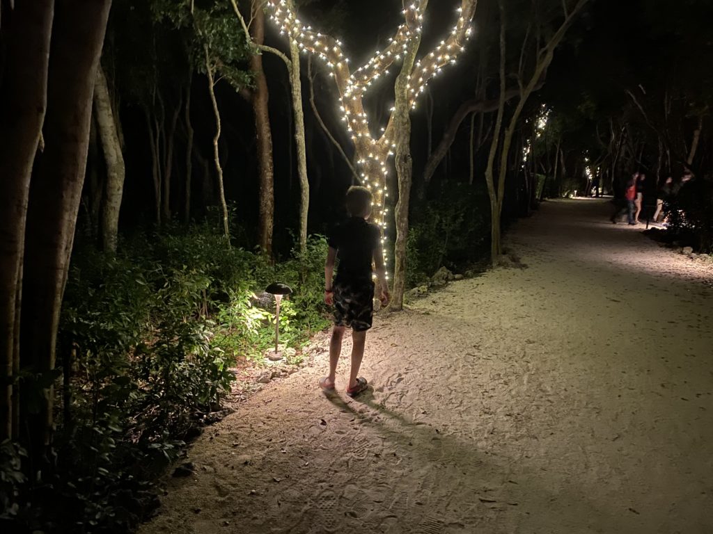 a person standing on a path with lights on trees