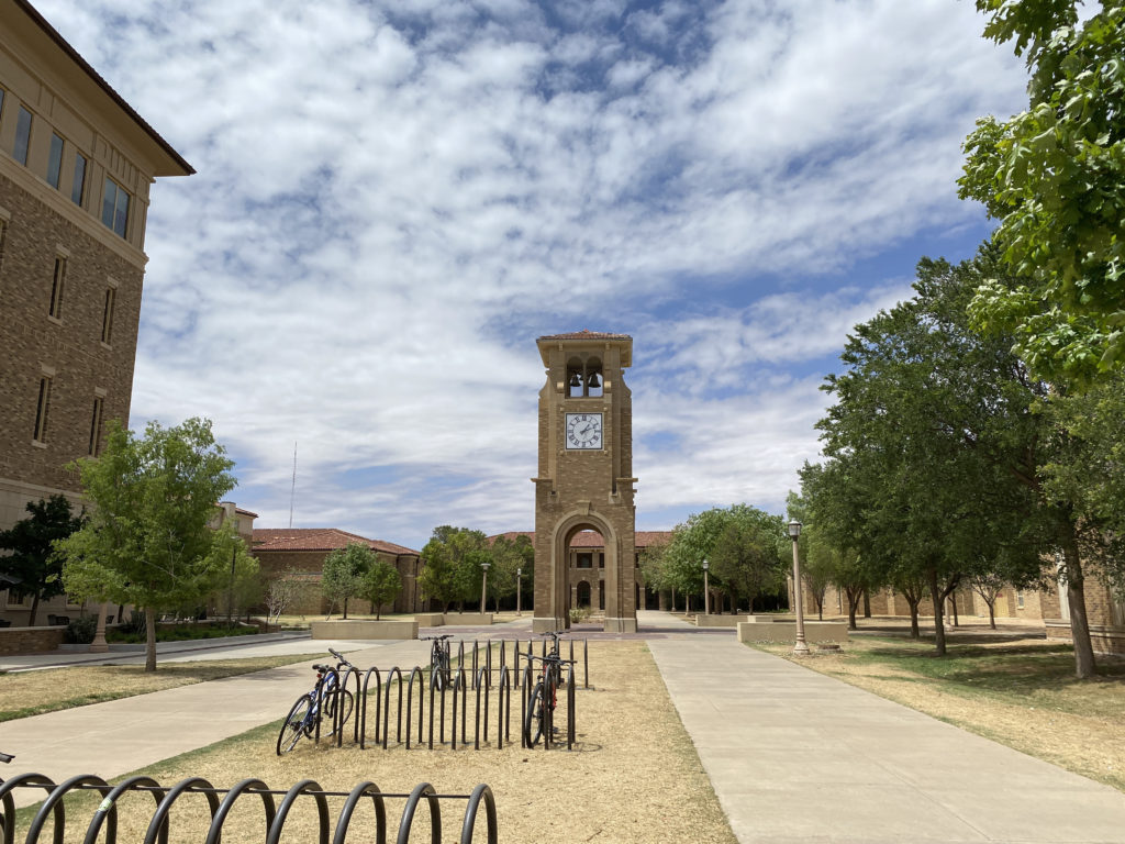 a clock tower in a park