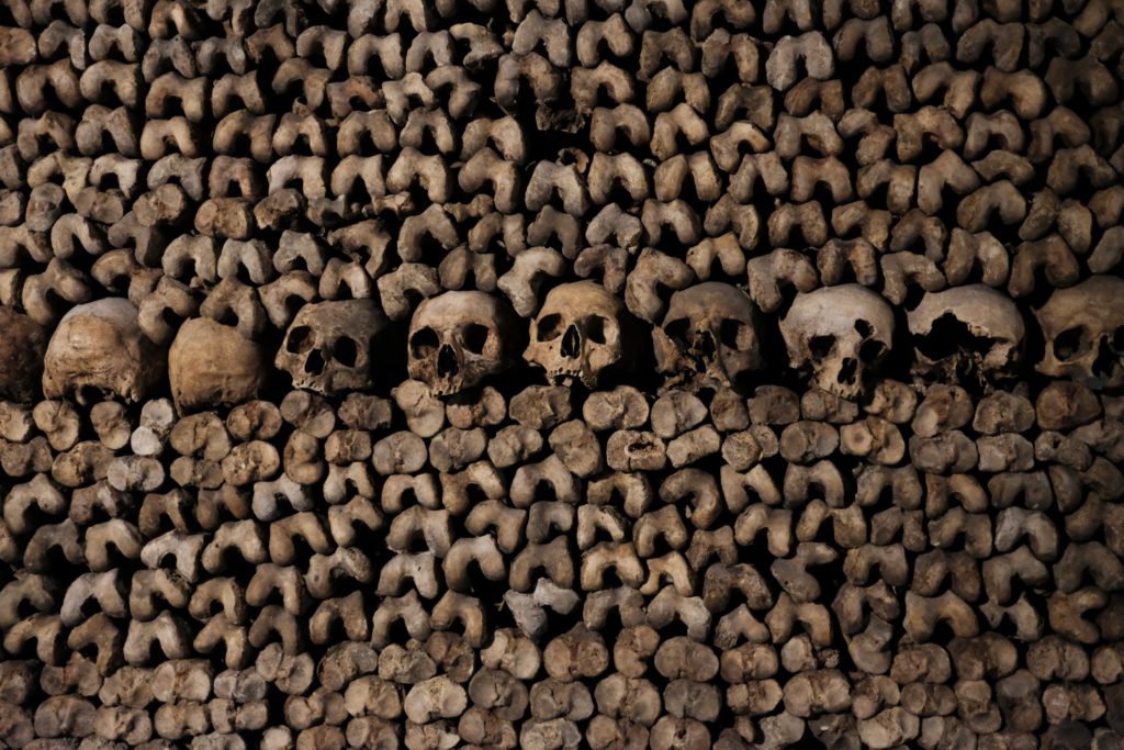 a group of skulls in a pile