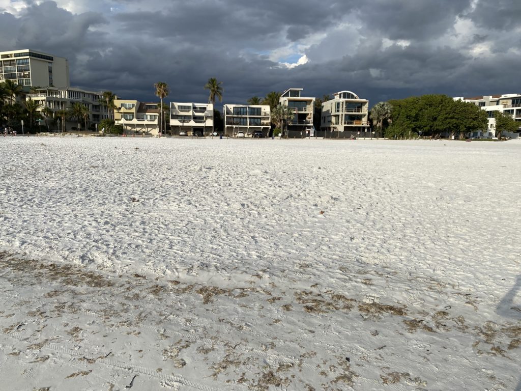 a beach with buildings and trees