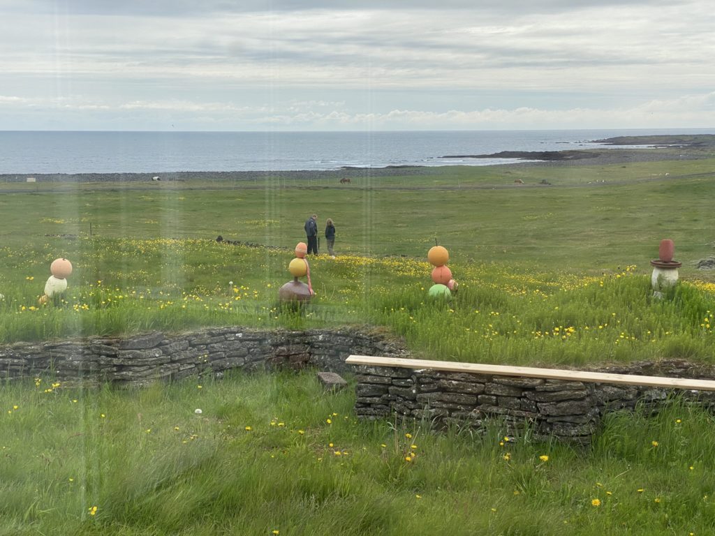 a group of people in a grassy field