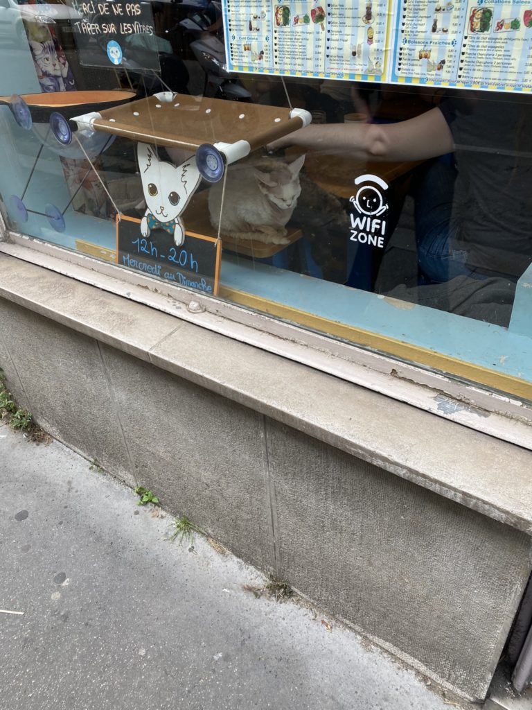 a window with a cat on it