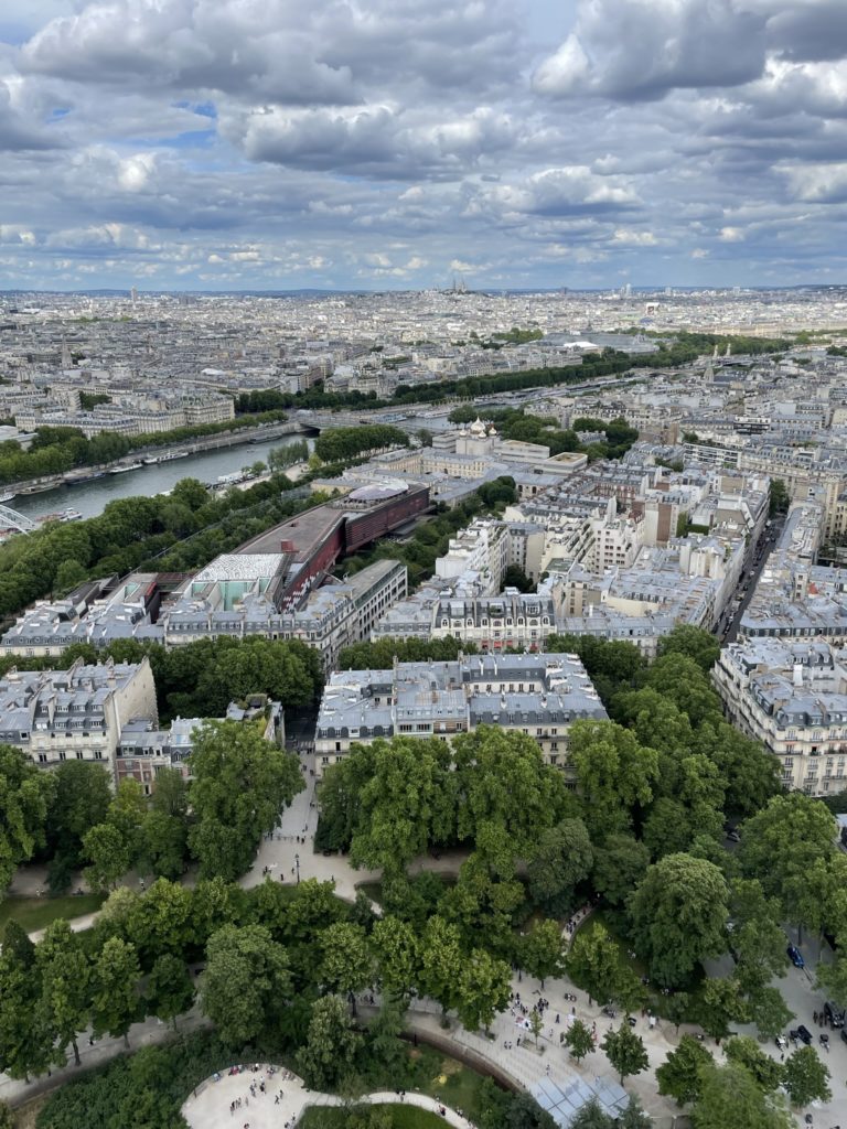 a city with trees and a river