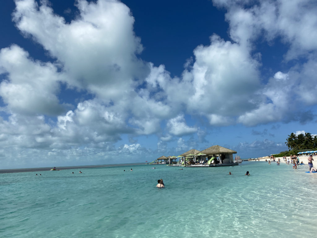 people swimming in the water