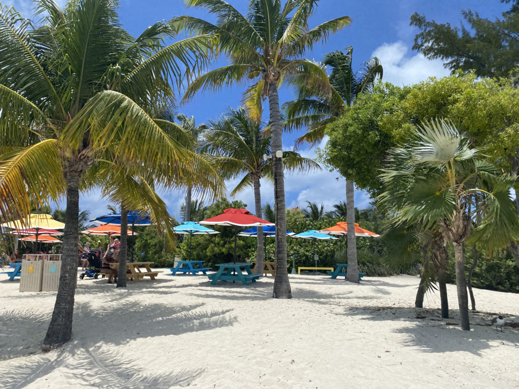 a group of people sitting under umbrellas on a beach