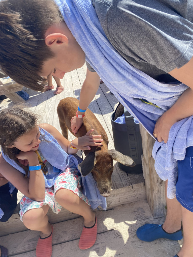 a boy and girl petting a goat