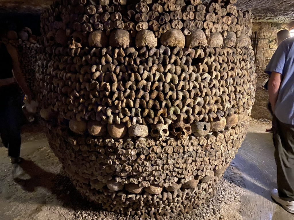 a large pile of skulls