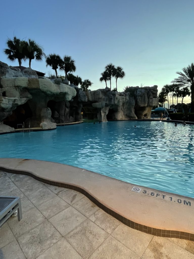 a pool with rocks and palm trees