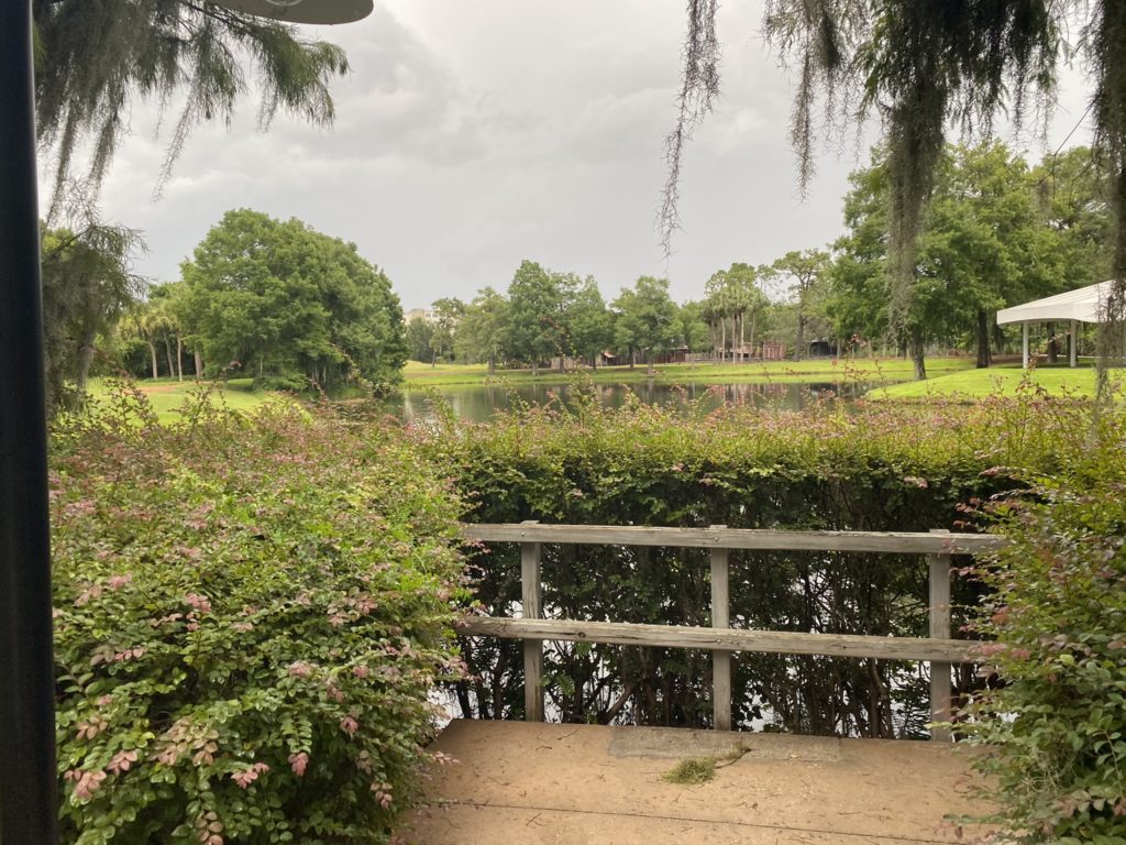 a bridge over a pond