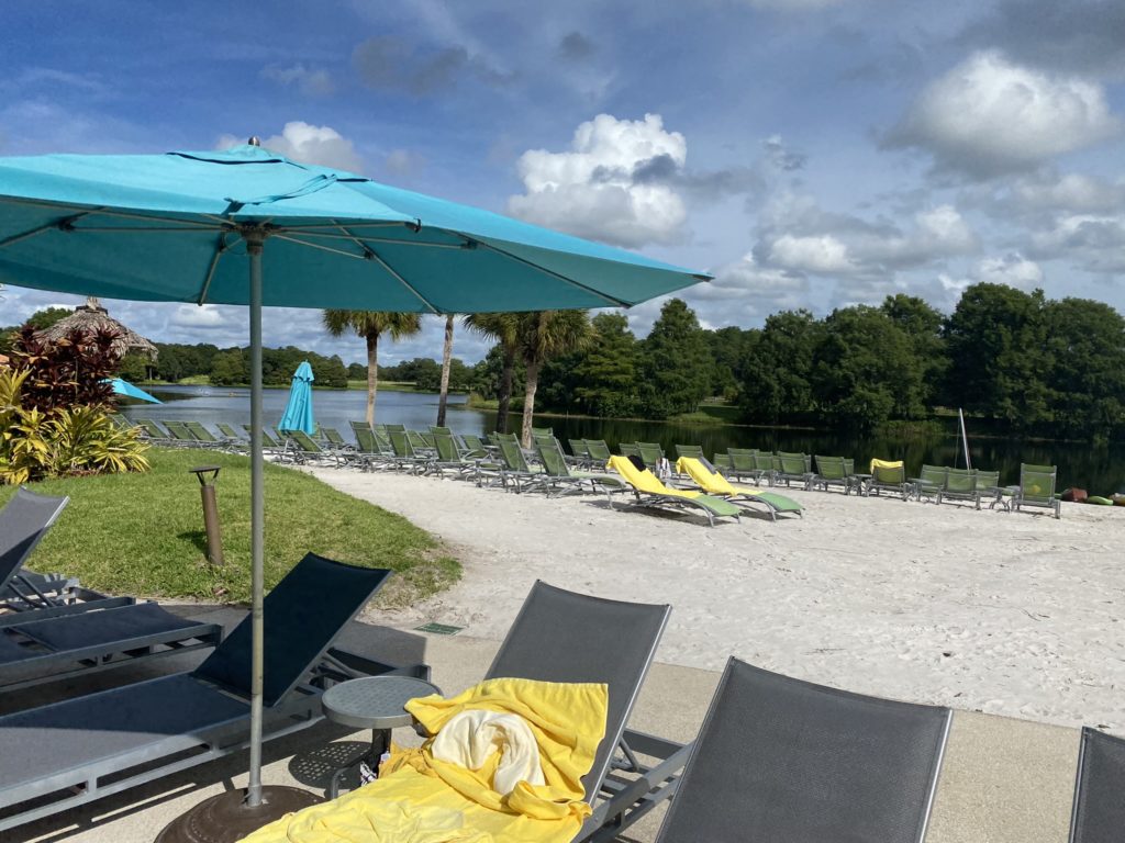 a beach chairs and umbrellas on a sunny day