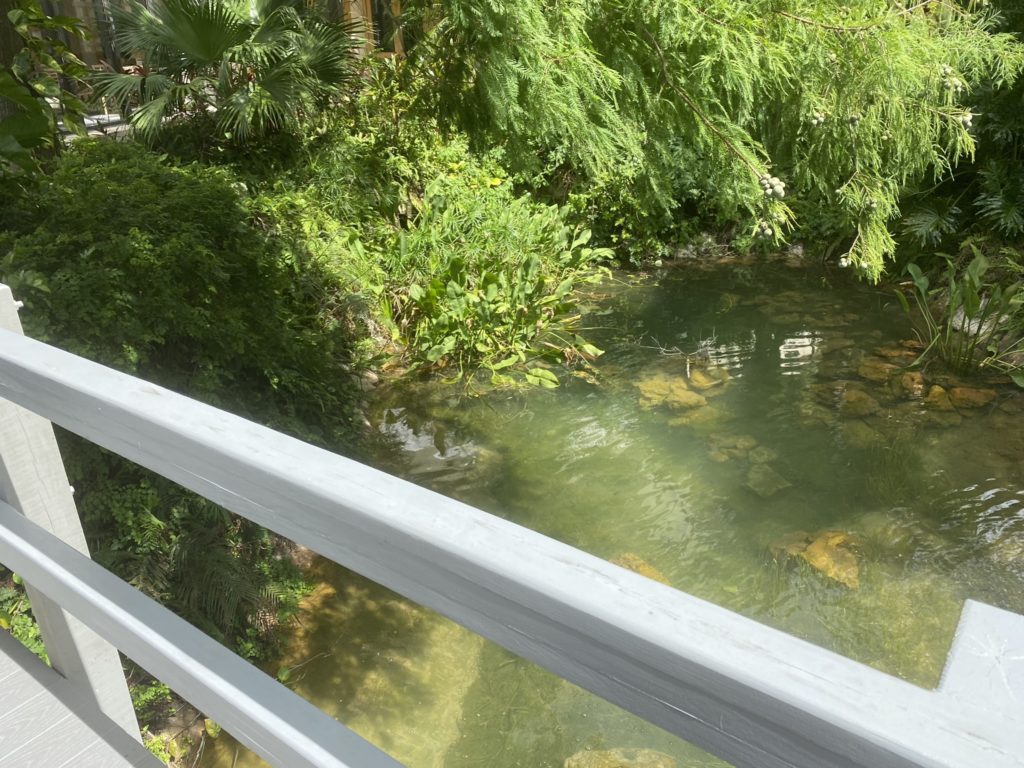 a river with rocks and trees