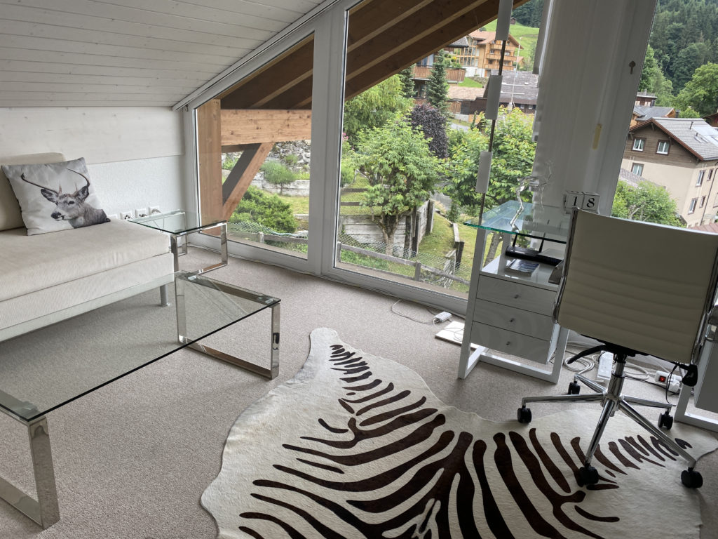 a room with a zebra rug and a couch