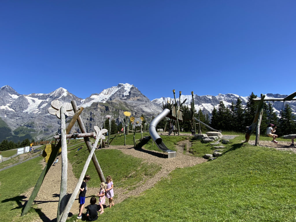 a group of kids playing in a playground