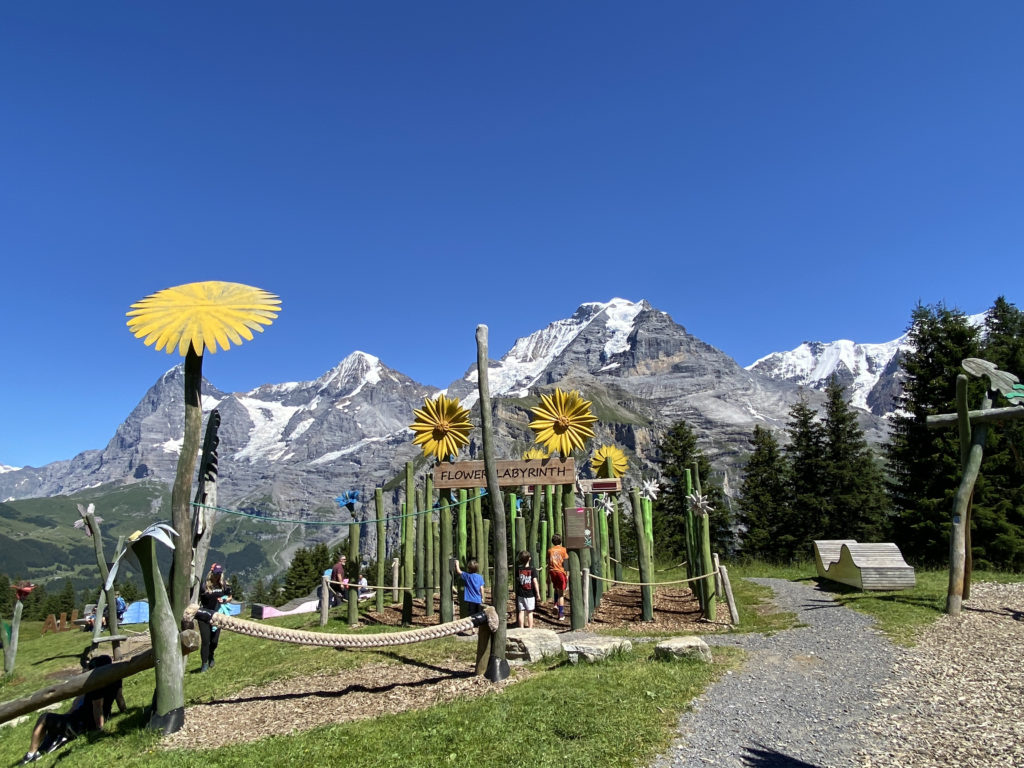 a group of people standing in a park with a sign and mountains in the background
