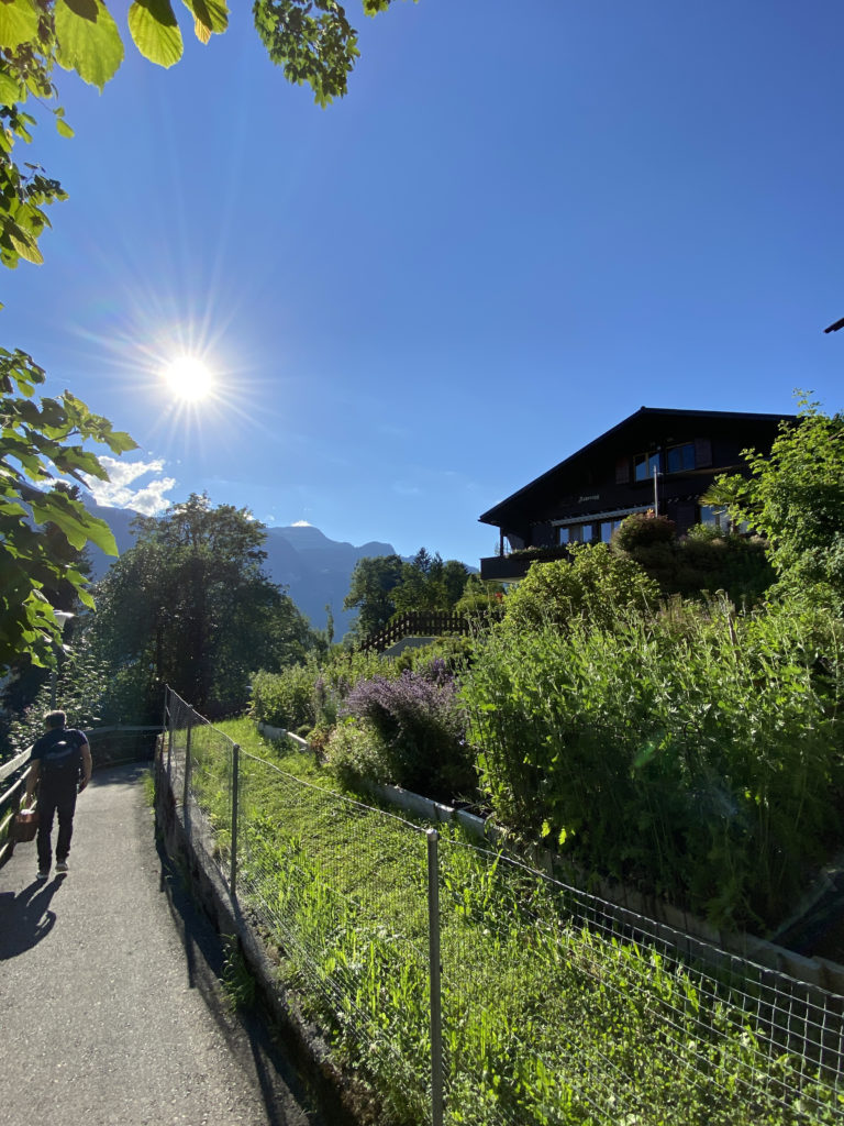 a person walking on a path with a fence and plants
