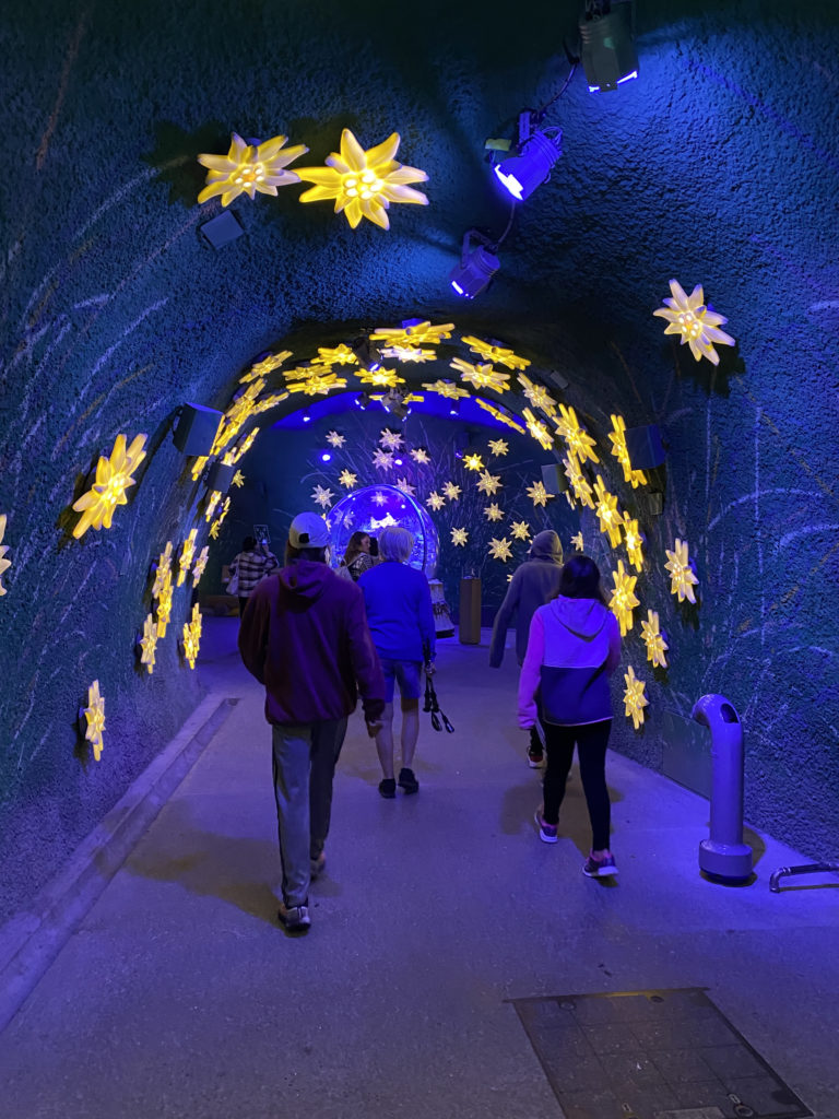 people walking through a tunnel with lights