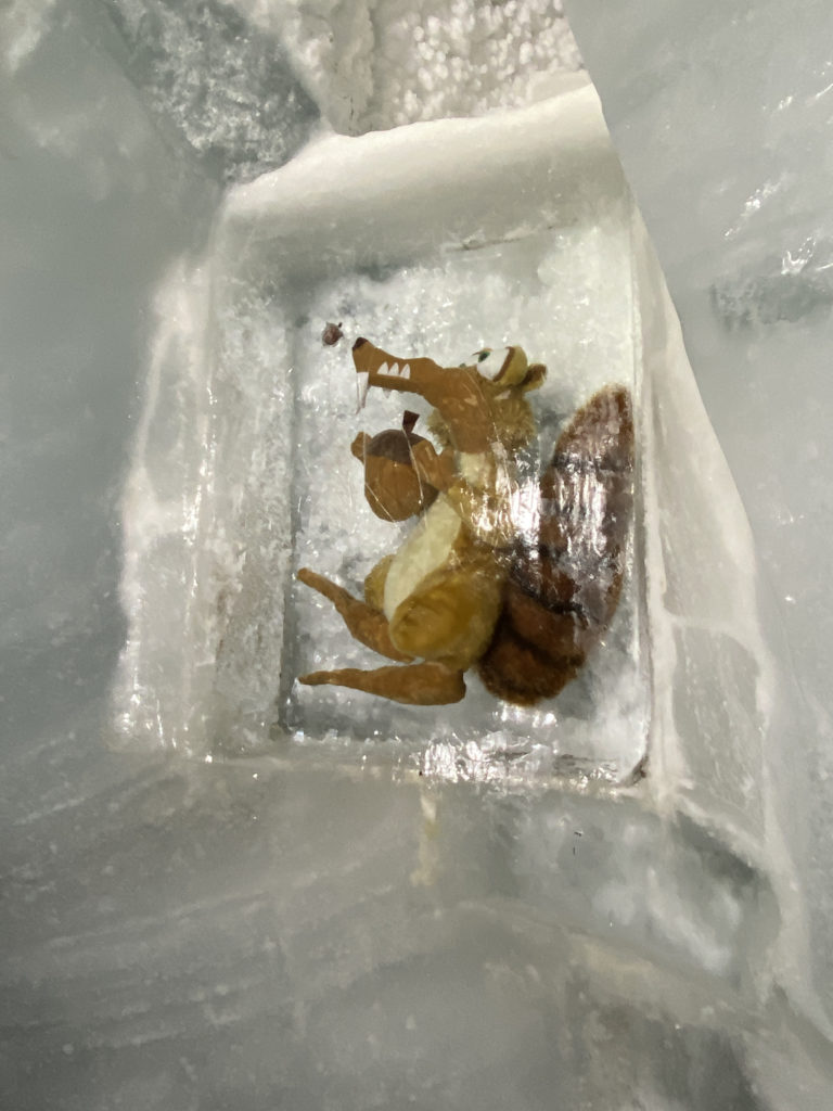 a stuffed animal in a ice cube
