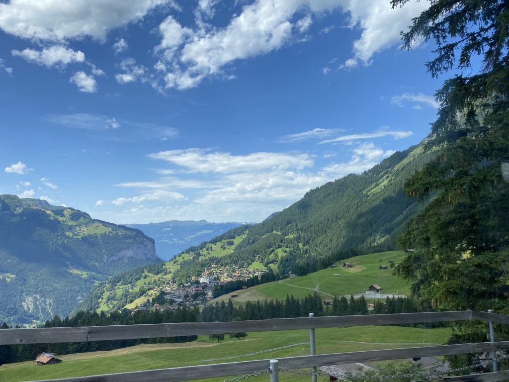 a green valley with trees and mountains