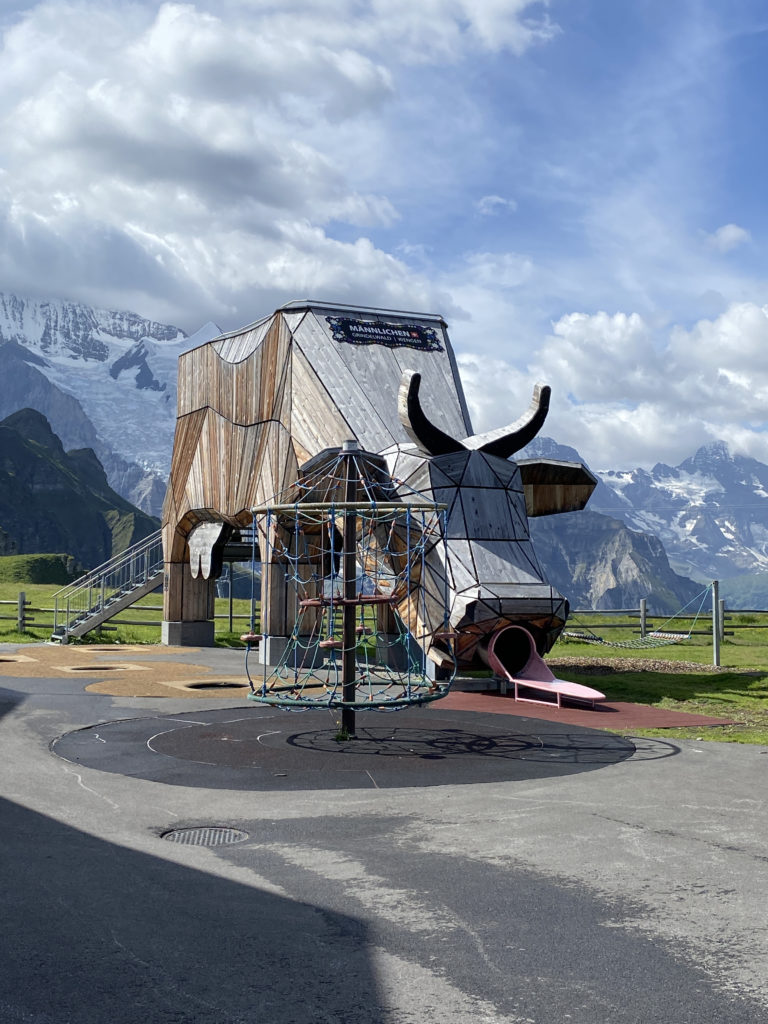 a wooden structure with a slide and mountains in the background