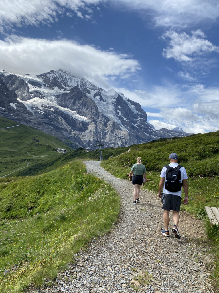 people walking on a path in a grassy area with snow covered mountains in the background