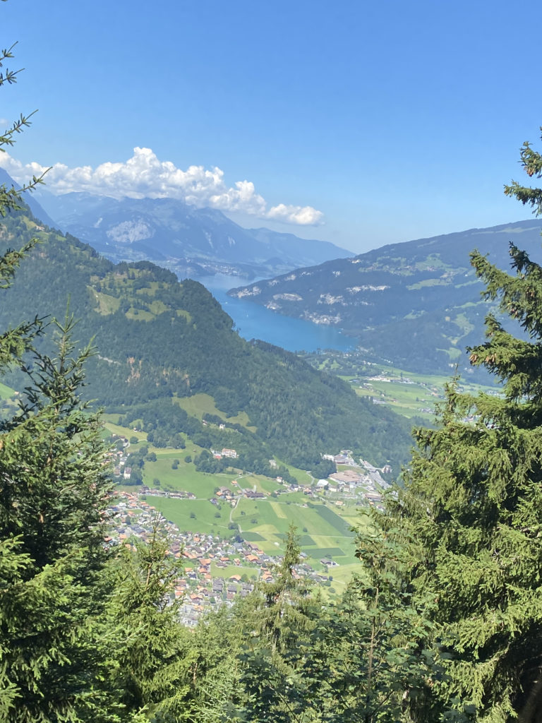 a view of a valley and a river from a mountain