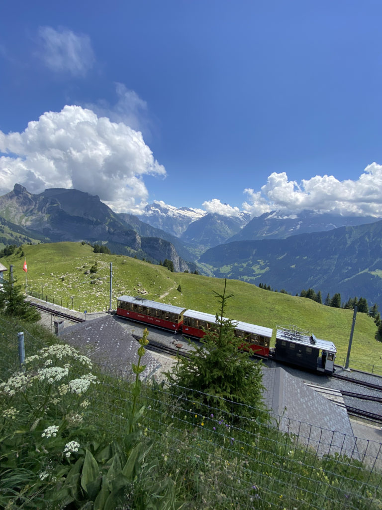 a train on the tracks
