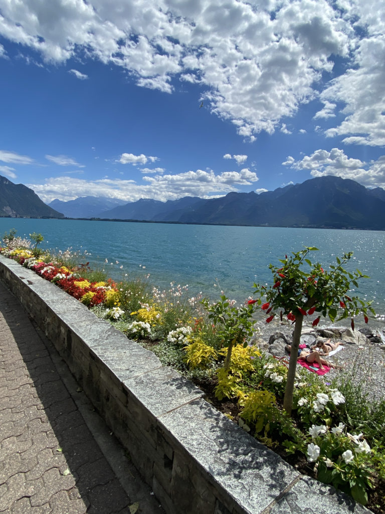 a beach with flowers and a body of water