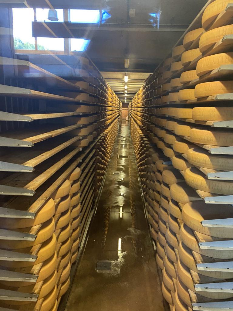 a rows of cheeses in a warehouse