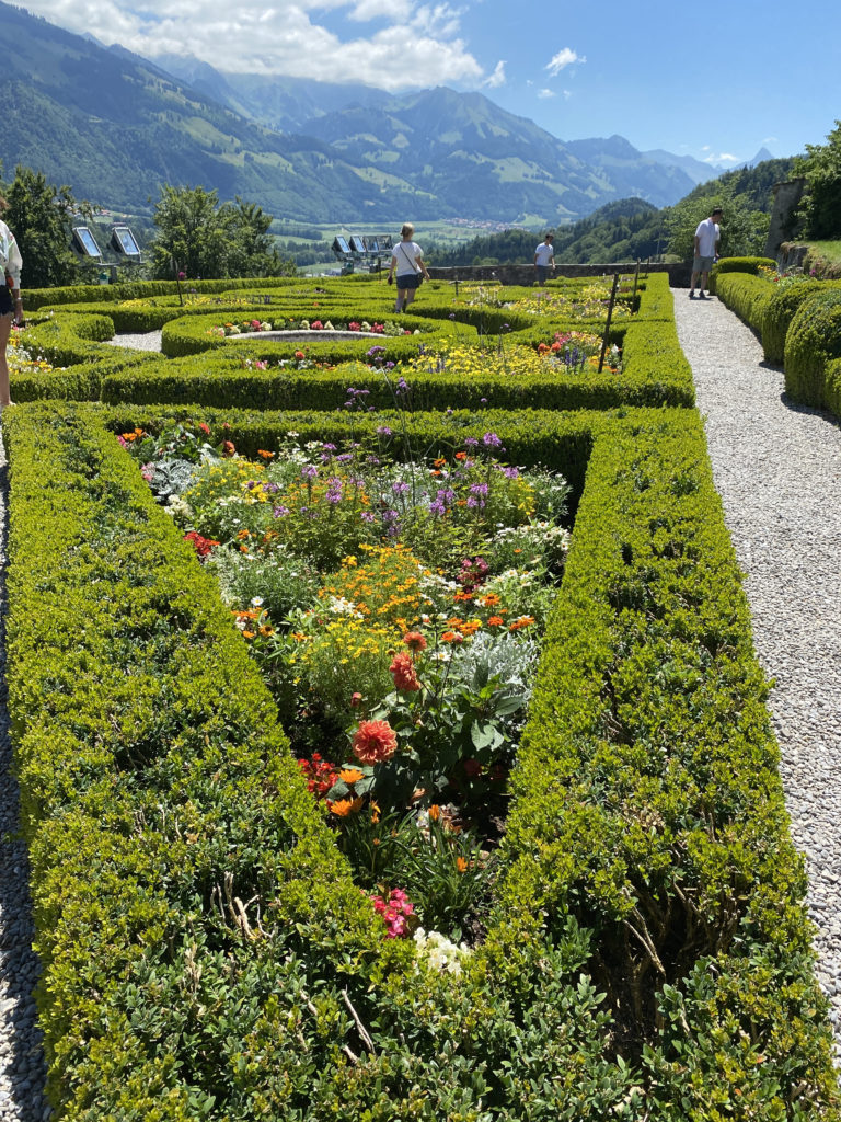 a group of people walking in a garden