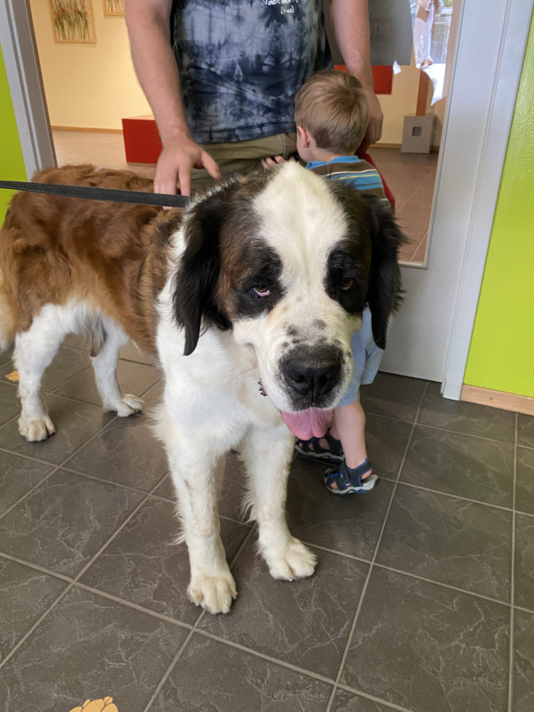 a dog standing next to a person