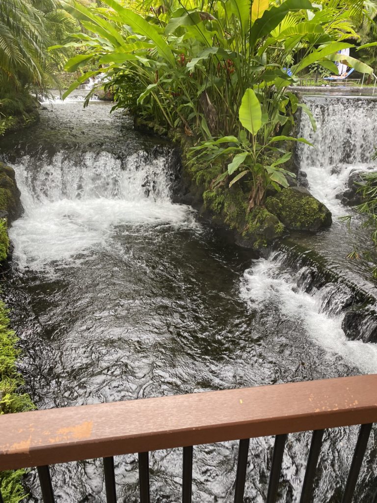 a waterfall in a tropical garden