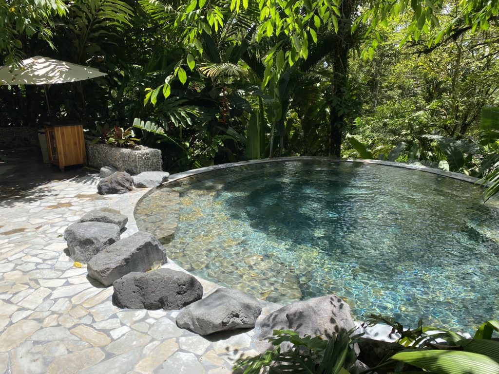 a pool surrounded by trees