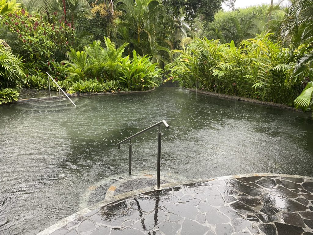 a pool with a railing and plants