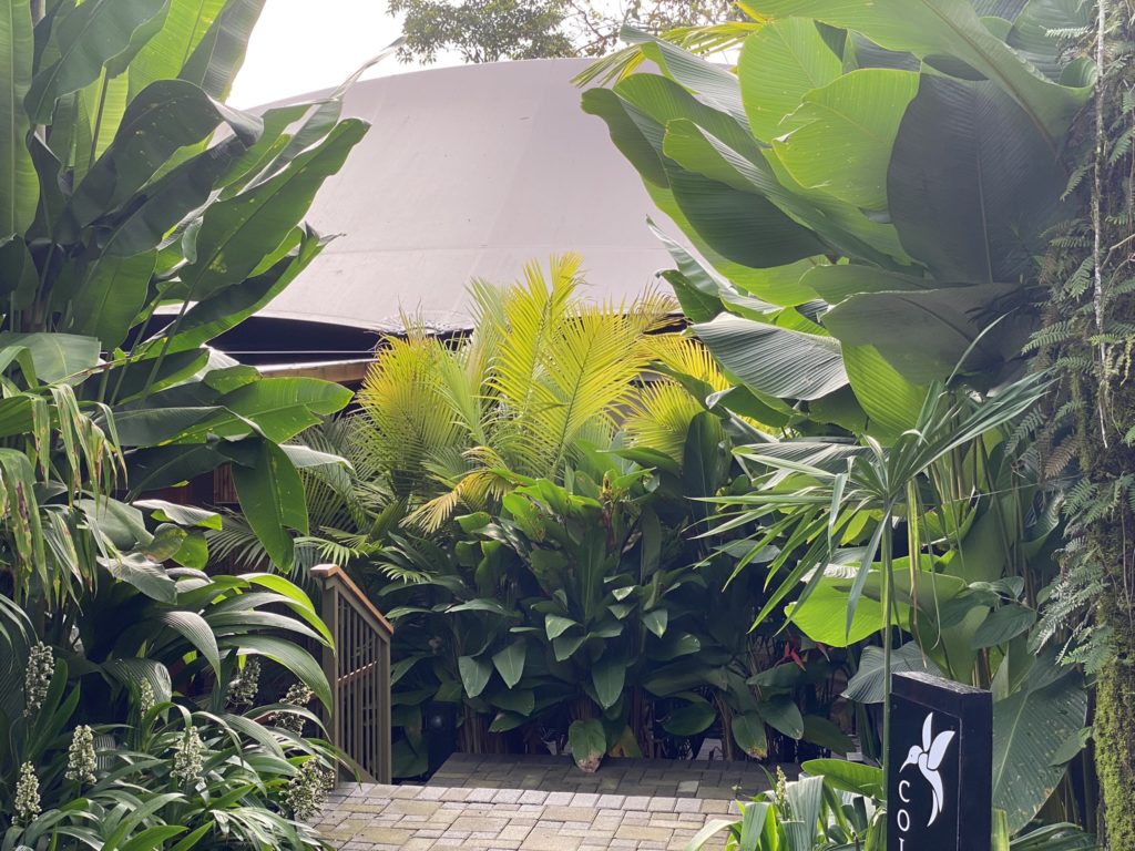 a walkway between a building and plants