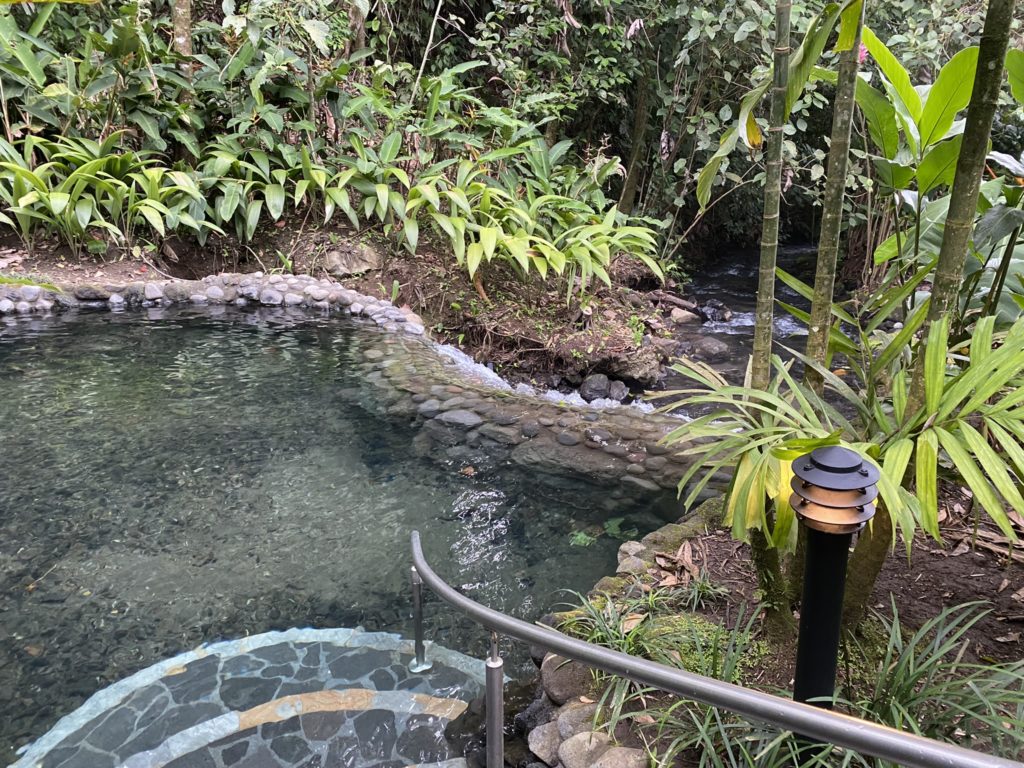 a pool with a stone walkway in the middle of a forest